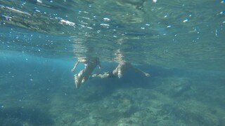 Athletic Europeans Get Wet - sledujte nové porno zdarma REDPORN.TOP